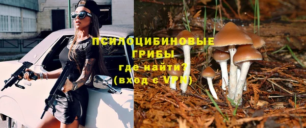 спиды Алексин
