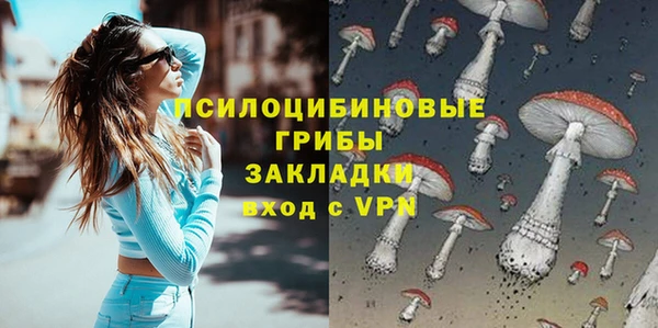 спиды Алексин
